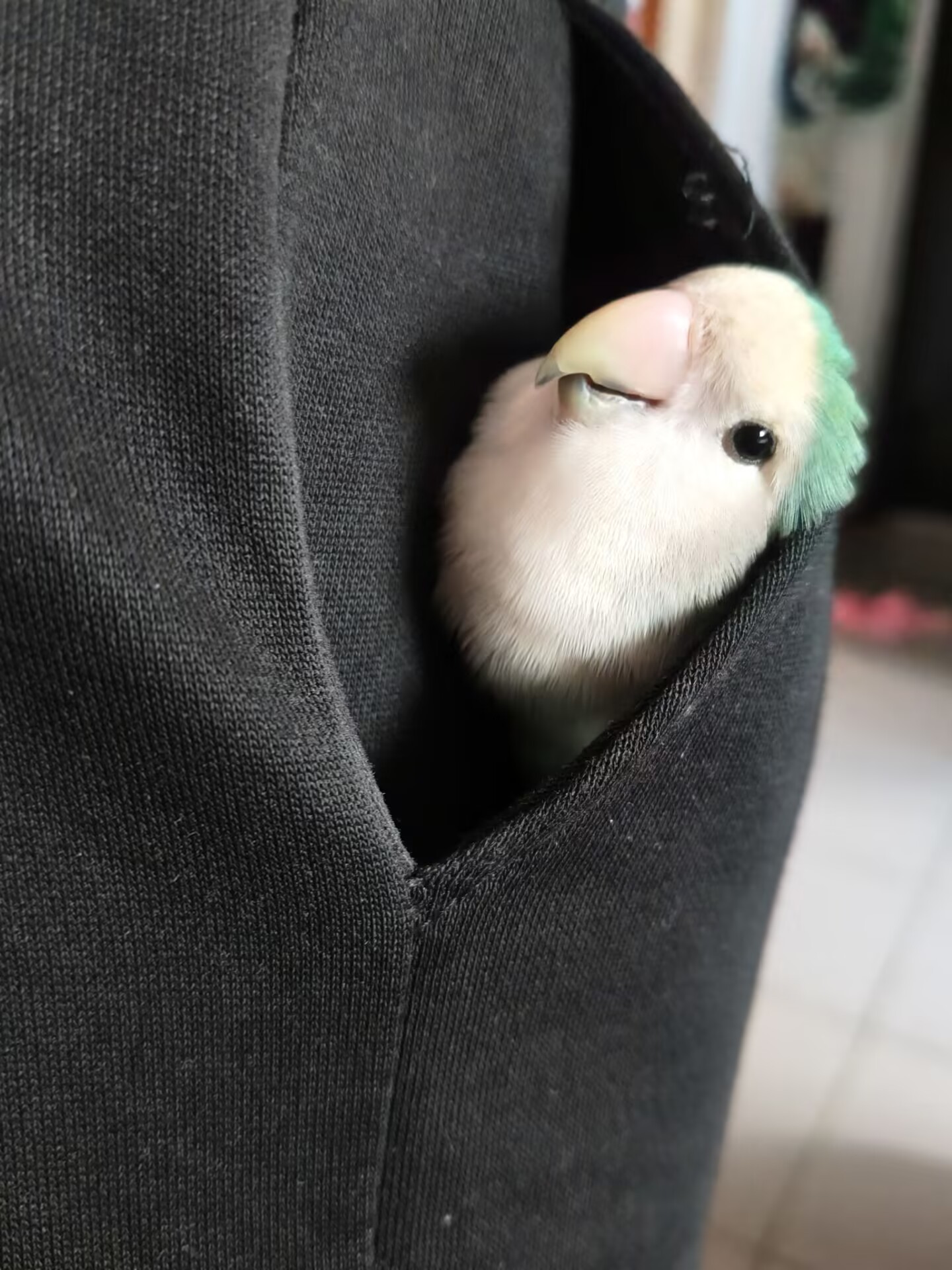 釉宝
